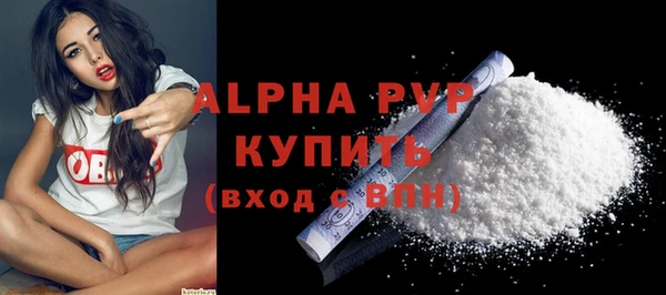 гидра Богородск