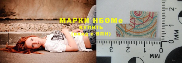 гидра Богородск
