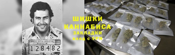 spice Богородицк