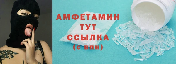 гидра Богородск