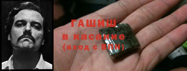 гидра Богородск