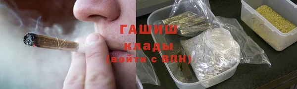 spice Богородицк