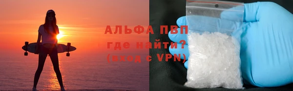 гидра Богородск