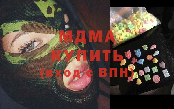 гидра Богородск