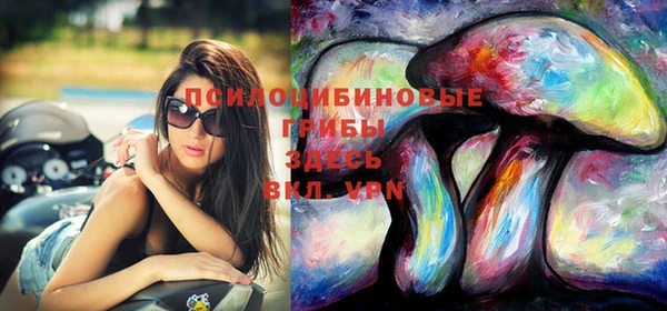 spice Богородицк