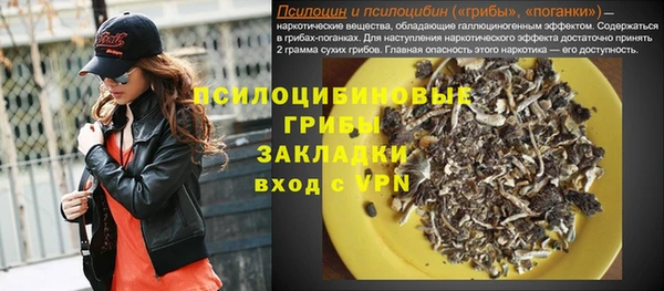 гидра Богородск