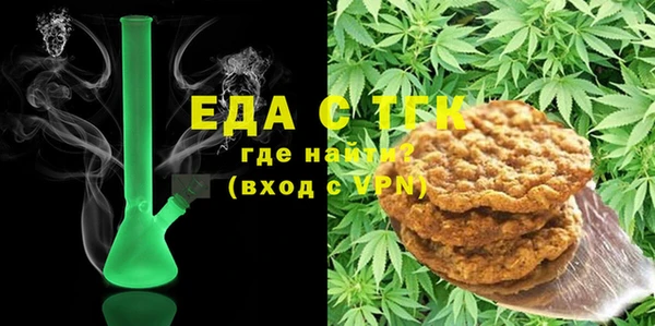 гидра Богородск