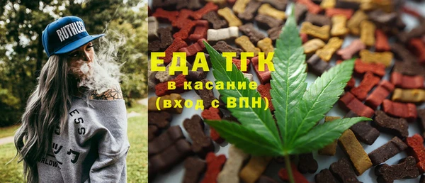 гидра Богородск