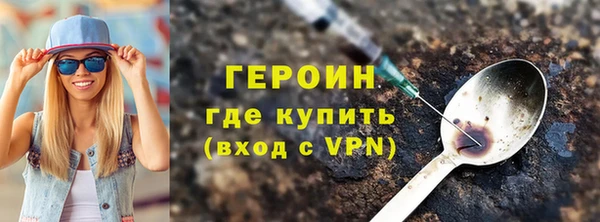 гидра Богородск