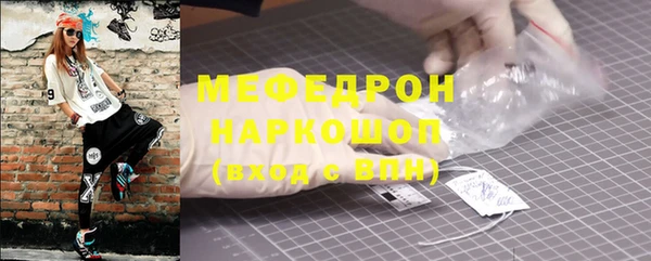 spice Богородицк