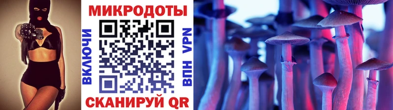 Псилоцибиновые грибы MAGIC MUSHROOMS  кракен ТОР  Высоковск 